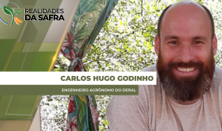 Carlos Hugo Godinho - Engenheiro Agrônomo do Deral