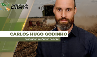 Carlos Hugo Godinho - Engenheiro Agrônomo do Deral