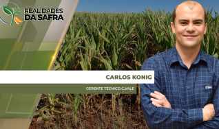 Carlos Konig - Gerente Técnico C.Vale