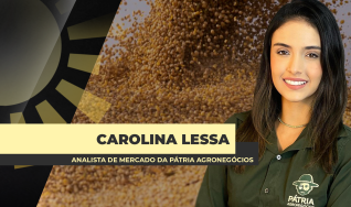 Carolina Lessa - Analista de Mercado da Pátria Agronegócios