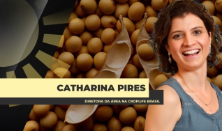 Catharina Pires - Diretora da área na CropLife Brasil
