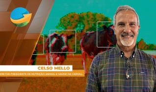 Celso Mello, diretor-presidente de nutrição animal e saúde da Cargill
