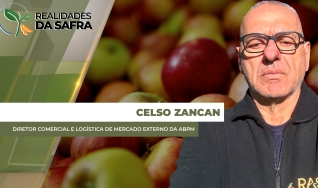 Celso Zancan - Diretor Comercial e Logística de Mercado Externo da ABPM