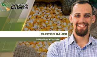 Cleiton Gauer - Superintendente do Imea