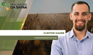 Cleiton Gauer - Superintendente do Imea