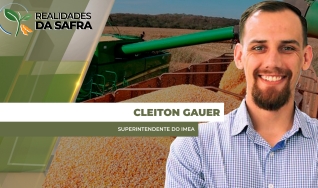 Cleiton Gauer - Superintendente do Imea