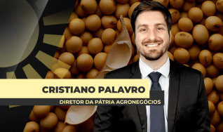 Cristiano Palavro - Diretor da Pátria Agronegócios