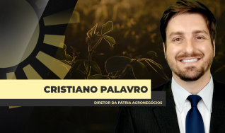 Cristiano Palavro - Diretor da Pátria Agronegócios