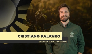 Cristiano Palavro - Diretor da Pátria Agronegócios