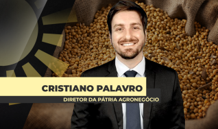 Cristiano Palavro - Diretor da Pátria Agronegócios