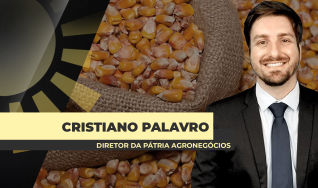 Cristiano Palavro - Diretor da Pátria Agronegócios