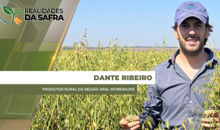 Dante Ribeiro - Produtor Rural da região Aral Moreira/MS
