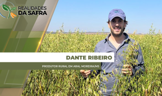 Dante Ribeiro - Produtor Rural da região Aral Moreira/MS