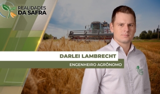 Darlei Lambrecht - Engenheiro Agrônomo