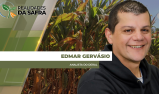 Edmar Gervásio - Analista do Deral