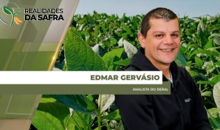 Edmar Gervásio - Analista do Deral