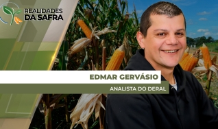 Edmar Gervásio - Analista do Deral