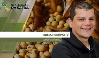 Edmar Gervásio - Analista do Deral