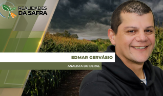 Edmar Gervásio - Analista do Deral