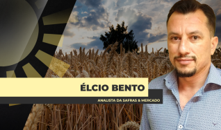 Élcio Bento - Analista da Safras & Mercado