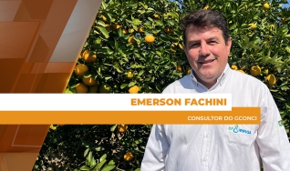 Emerson Fachini - consultor do GCONCI