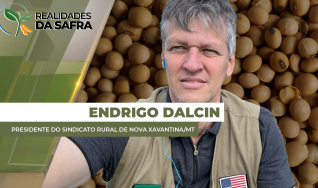 Endrigo Dalcin - Presidente do Sindicato Rural de Nova Xavantina (MT)