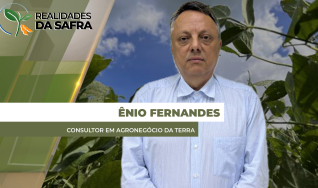 Ênio Fernandes, consultor em agronegócio da Terra Agronegócios
