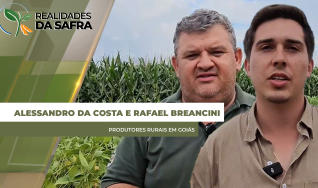 Realidades da Safra