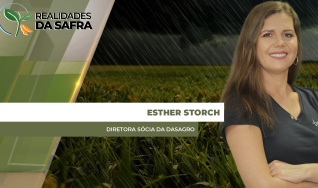 Esther Storch - Diretora Sócia da DASAGRO