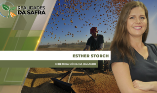 Esther Storch - Diretora Sócia da DASAGRO