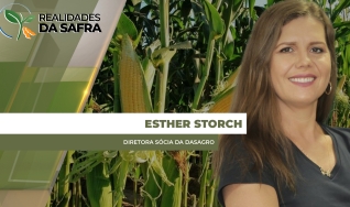 Esther Storch - Diretora Sócia da DASAGRO