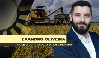 Evandro Oliveira - Analista de Mercado da Safras & Mercado