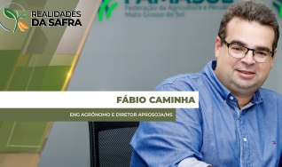 Fábio Caminha - Eng Agrônomo e Diretor Aprosoja/MS