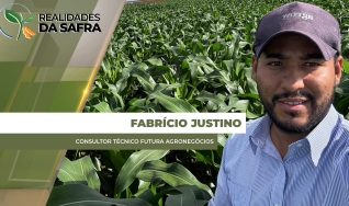 Fabrício Justino - Consultor técnico Futura Agronegócios