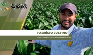 Fabrício Justino - Consultor técnico Futura Agronegócios