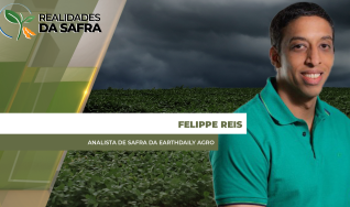 Felippe Reis - Analista de Safra da EarthDaily Agro