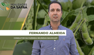 Fernando Almeida, consultor da Fazenda Reunidas Baumgart