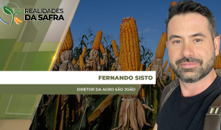 Fernando Sisto - Diretor da Agro São João