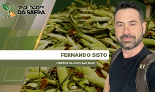 Fernando Sisto - Diretor da Agro São João