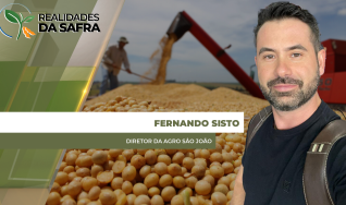 Fernando Sisto - Diretor da Agro São João