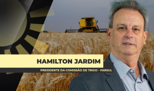 Hamilton Jardim - Presidente da Comissão de Trigo - Farsul