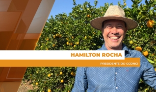 Hamilton Rocha - presidente do GCONCI