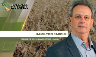 Hamilton Jardim - Presidente da Comissão de Trigo - Farsul