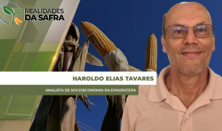 Haroldo Elias Tavares - Analista de Socioeconomia da Epagri/Cepa