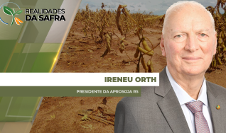 Ireneu Orth - Presidente da Aprosoja RS