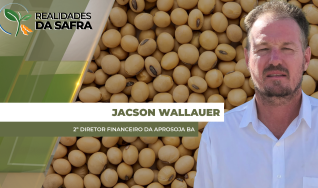 Jacson Wallauer - 2º Diretor Financeiro da Aprosoja BA