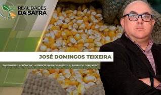 José Domingos Teixeira - Engenheiro agrônomo - Gerente Unidade Agrícola, Barra do Garças/MT