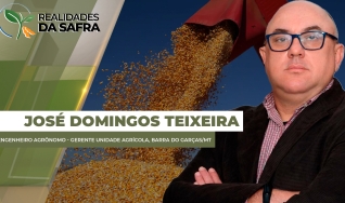 José Domingos Teixeira - Engenheiro agrônomo - Gerente Unidade Agrícola, Barra do Garças/MT