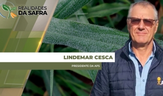 Lindemar Cesca - Presidente da  APS