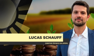 Lucas Schauff - Diretor-Técnico da APEPA